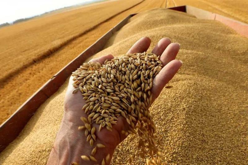 وزير الزراعة يتابع ملفات حصر القمح والمحاصيل الشتوية