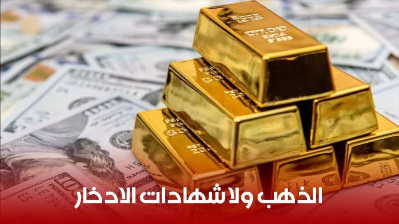 أحسن استثمار في مصر