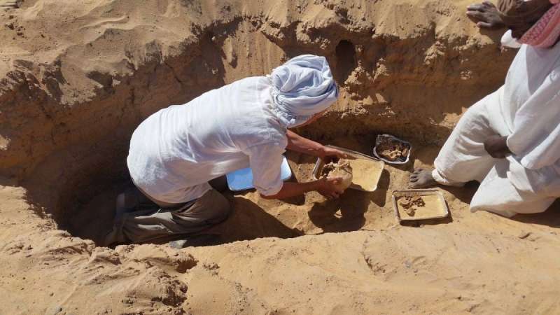 اكتشاف مذهل.. أقدم حالة روماتيد في العالم مصرية وفي أسوان