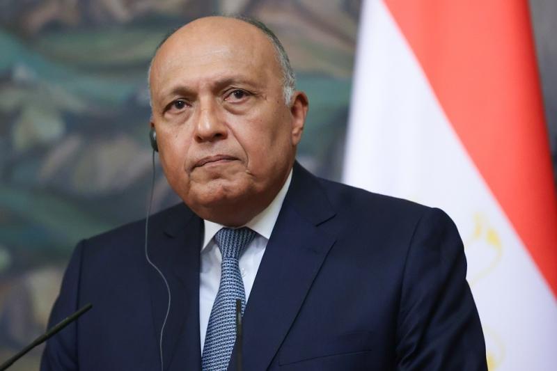 غدًا وزير الخارجية المصري ووزراء خارجية 4 دول عربية ووزير الخارجية الأمريكي يجتمعون في القاهرة