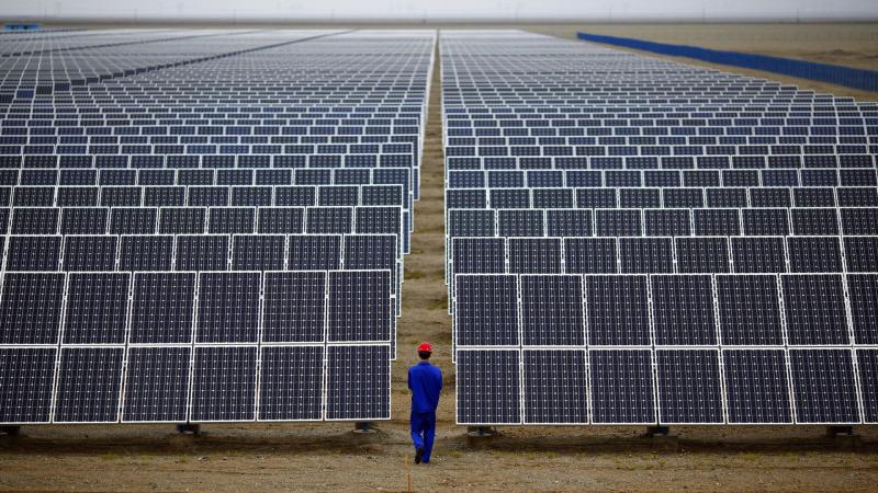 مليارات الدولارات.. الإمارات تستثمر بقوة في الشمس المصرية