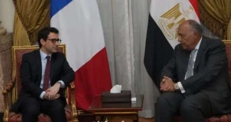وزير خارجية مصر ونظيره الفرنسي