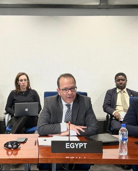 الدكتور محمد جاد، سفير مصر لدى اثيوبيا 