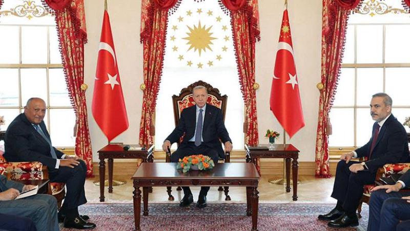 أردوغان يدعو الرئيس السيسي لزيارة تركيا