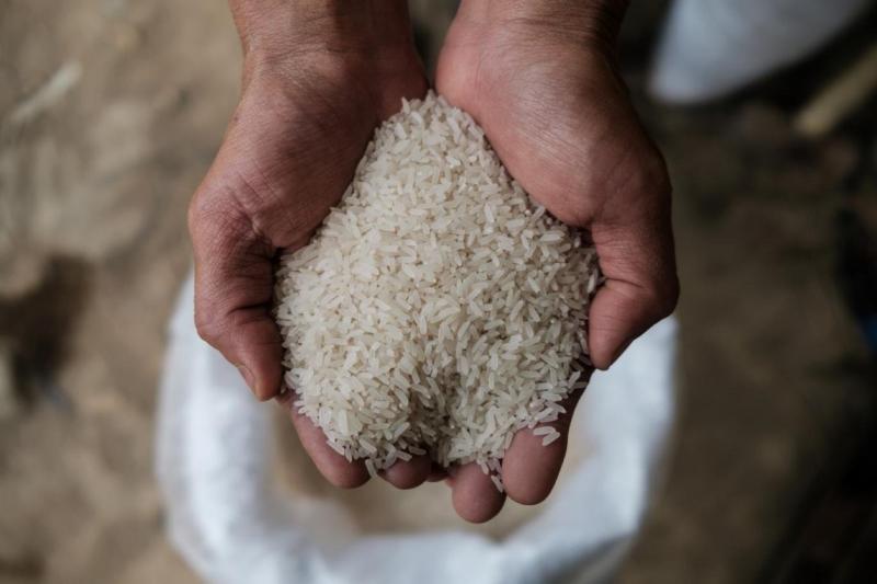 نقيب الفلاحين يزف بشرى سارة حول أسعار الأرز