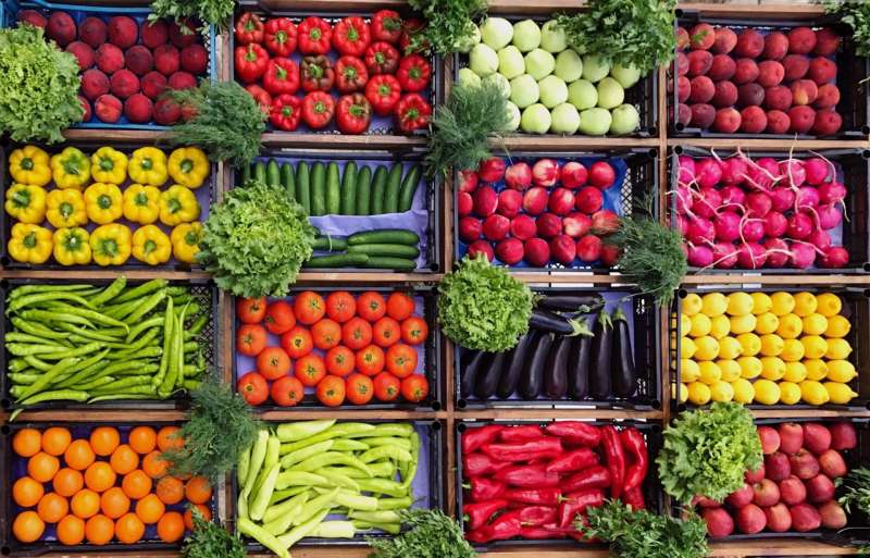 قبل العيد.. أسعار الخضروات والفاكهة اليوم الخميس 13 يونيو 2024 بالأسواق