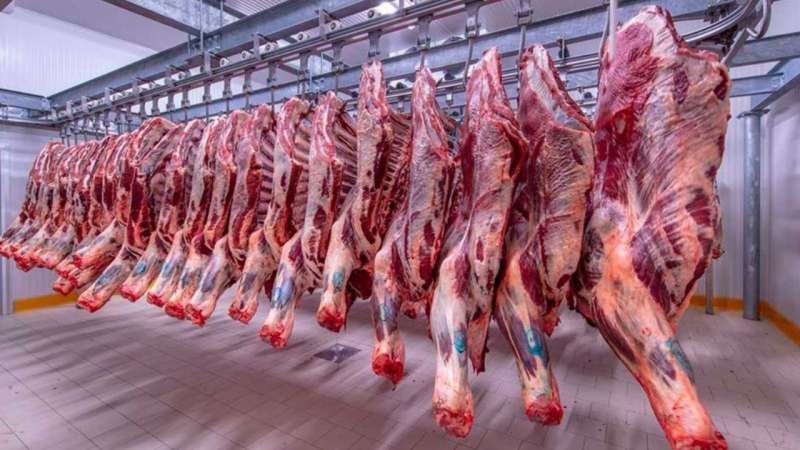 أسعار اللحوم اليوم الجمعة 14 يونيو في منافذ أمان والخدمة الوطنية